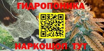 гидра Абинск