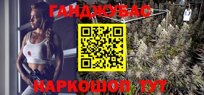 хмурый Абакан