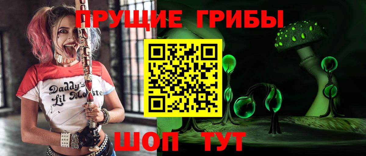 Галлюциногенные грибы мицелий  Вход с VPN  Абинск 